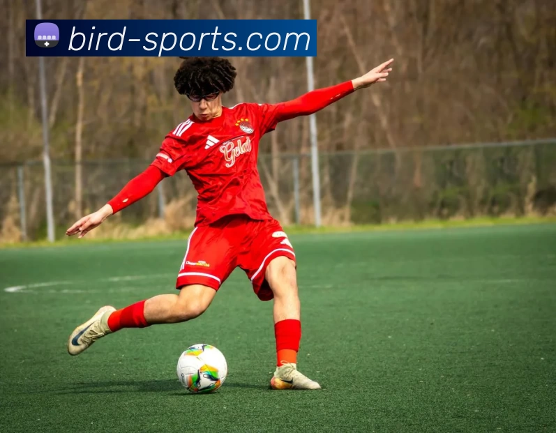 BIRDSPORTS发展历程